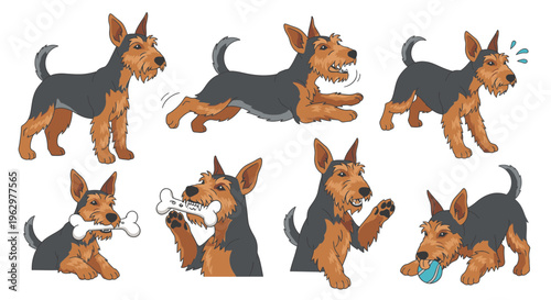 Airedale Terrier displaying playful behavior with toys and expressions  