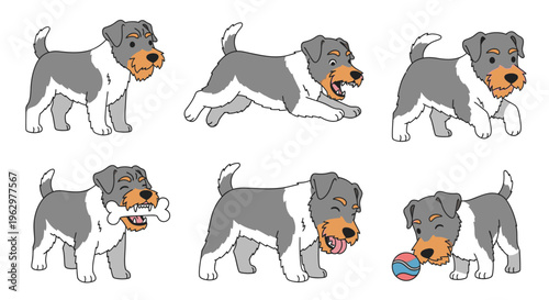 Sealyham Terrier playing with toys in various animated poses  