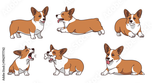 Six playful Corgi puppies in various poses on white background  