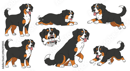 Cartoon Bernese Mountain Dog in various playful poses and actions  