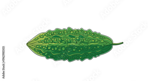 A vibrant illustration of a unique green bitter gourd featuring its distinctive warty texture on a clean white background, symbolizing health and