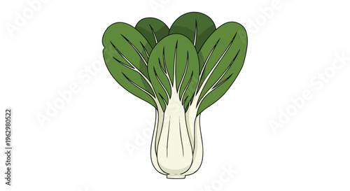 Vivid illustration of organic bok choy, highlighting its crisp green leaves and firm white stalks, symbolizing health and fresh ingredients for