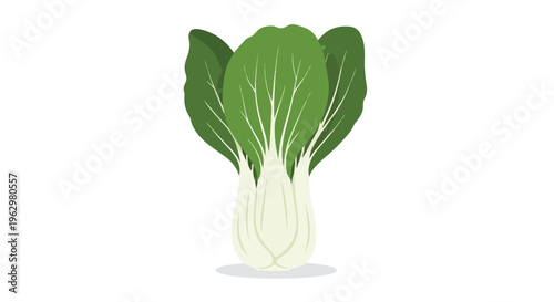 Vibrant green bok choy illustration showcasing healthy, fresh asian produce for culinary themes