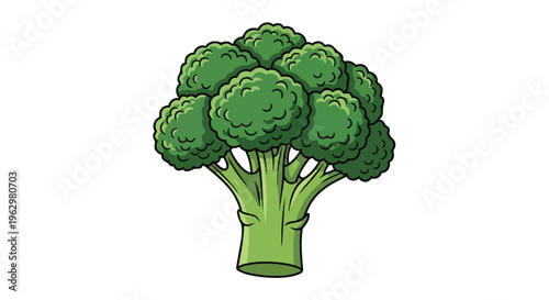 Fresh green broccoli floret vector art, perfect for nutrition and healthy food concepts on a clean white background