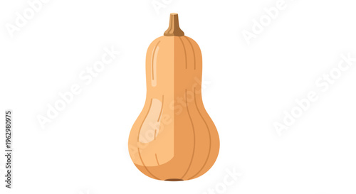 Stylized illustration of a wholesome butternut squash, perfect for healthy eating designs and autumn themes