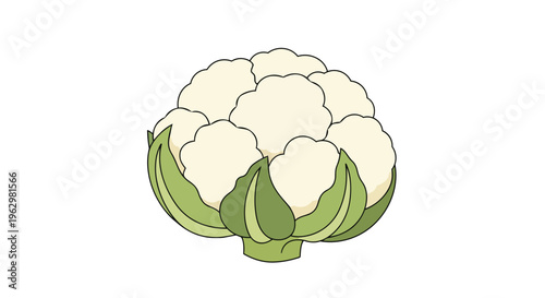 Vibrant cartoon illustration of a fresh, healthy cauliflower vegetable, ideal for culinary and agricultural themes