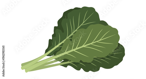 Vibrant healthy greens an essential culinary ingredient for nutritious meals and a balanced diet promoting wellness and flavorful dishes