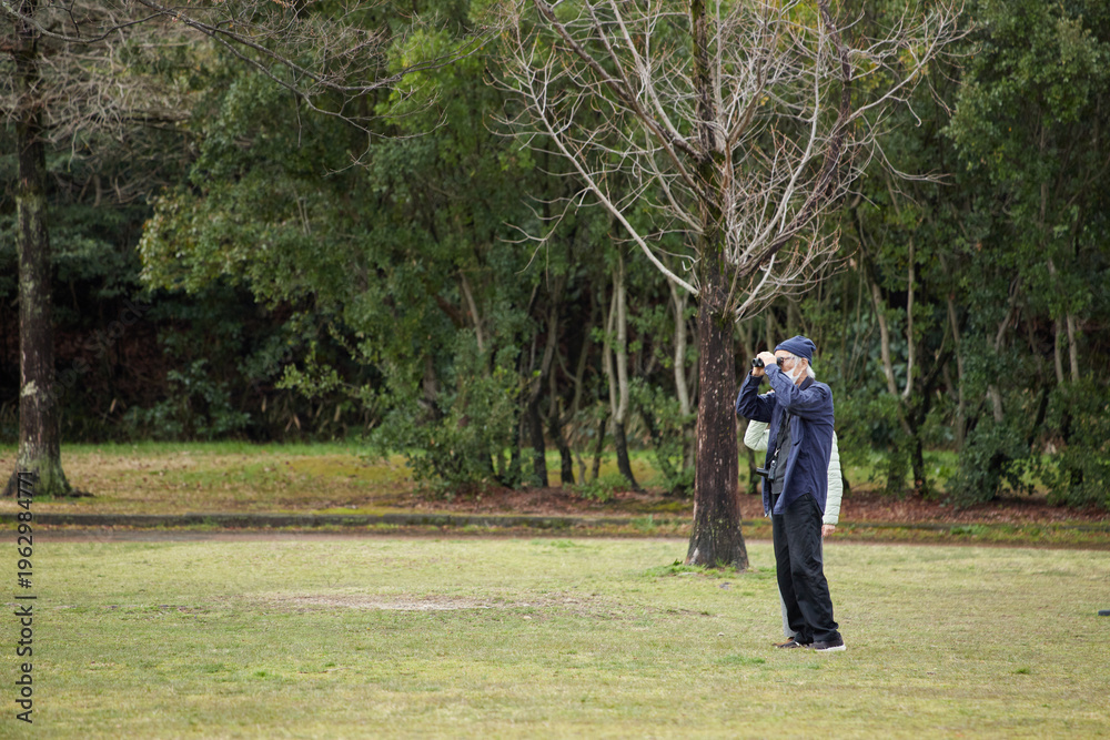 Fototapeta premium 春の公園で双眼鏡で野鳥を観察するシニア男性の姿