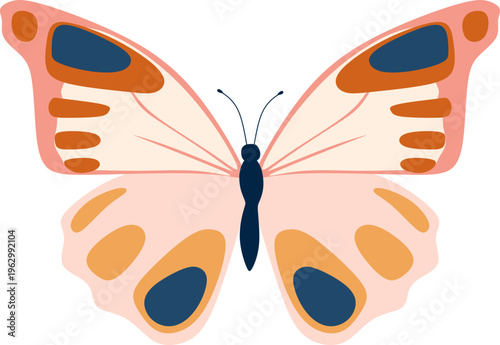 Butterflies Illustration