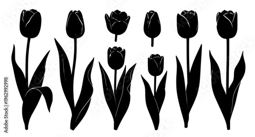 Black tulip floral silhouettes vector set elegant flower shapes isolated on white background