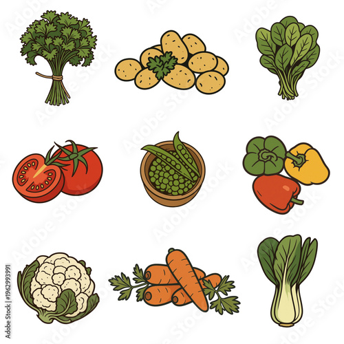 set of vegetables 