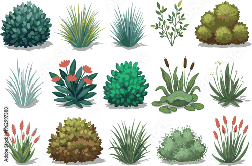 A collection of various garden plants including bushes grasses and flowering shrubs arranged in a grid