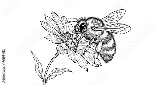 A bee collecting nectar from a flower.