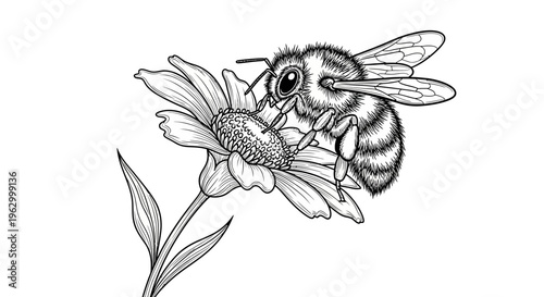 A bee collecting nectar from a flower.