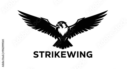 Black bird with wings spread wide.