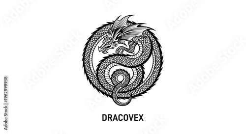 Dragon logo with sharp teeth.