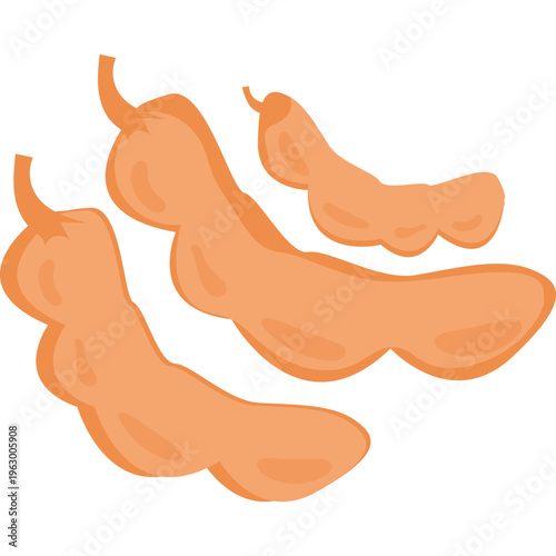 Soybean Pods Illustration