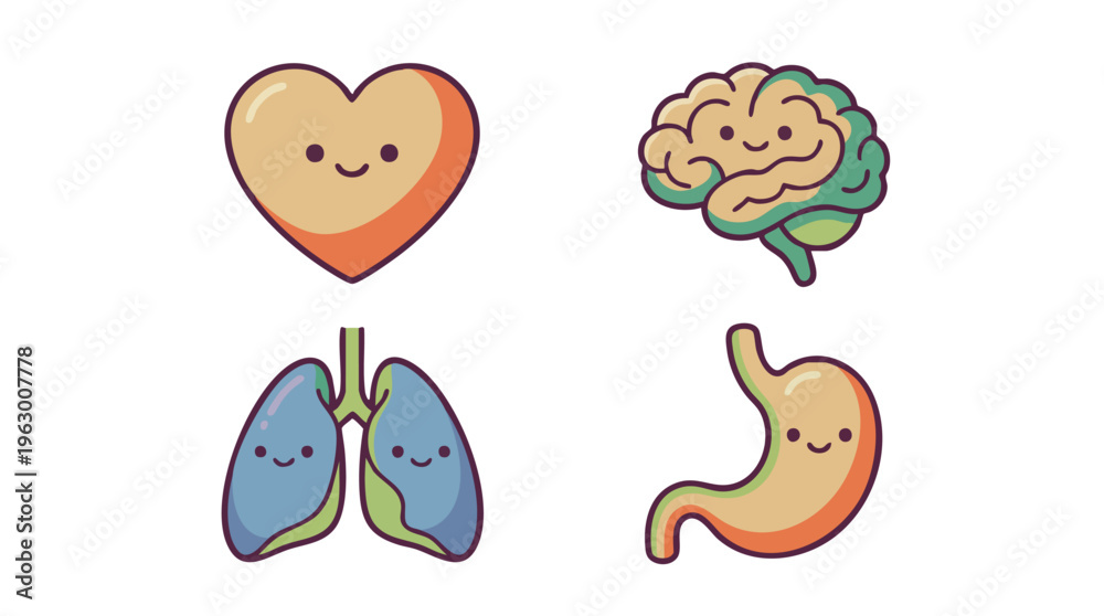 Fototapeta premium Cute cartoon human internal organs with smiling faces, including heart, brain, lungs, and stomach illustrations.