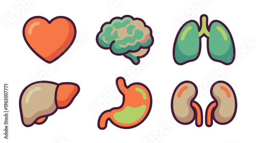 Cartoon illustrations of human internal organs including heart, brain, lungs, liver, stomach, and kidneys on a white background.