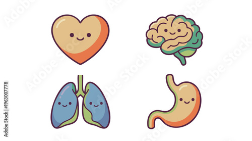 Cute cartoon human internal organs with smiling faces, including heart, brain, lungs, and stomach illustrations.