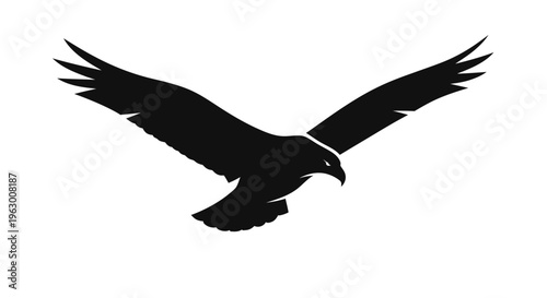 Silhouette of a Majestic Eagle in Flight.