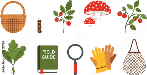 Foraging and wild food gathering equipment icon set