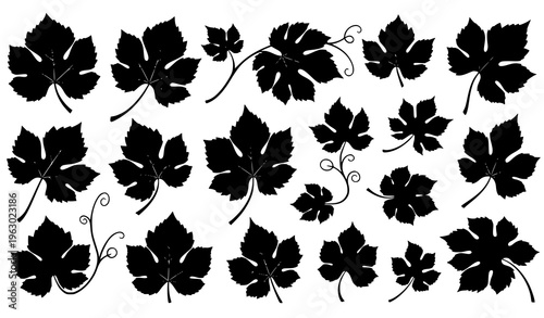 Grapevine Leaf Silhouette Collection Vector Vineyard Plant Leaves Set
