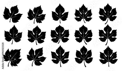 Grape Leaf Silhouette Vector Icon Set Vineyard Plant Leaves Collection Isolated White