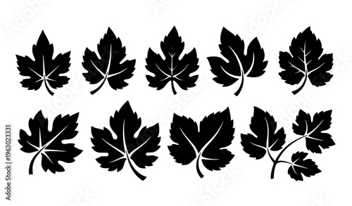 Stylized Grape Leaf Icons Vector Vineyard Plant Silhouette Set