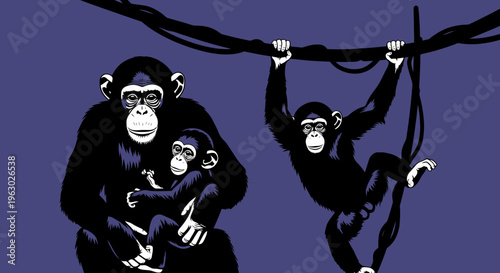 Chimpanzee Family and Young Monkey Swinging on Vine.
