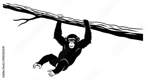 Chimpanzee hanging from a tree branch in a black and white illustration.