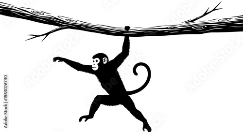 Silhouette of a monkey hanging from a tree branch.