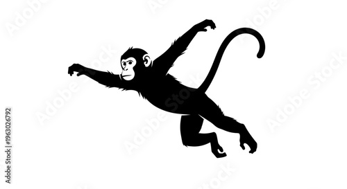 Silhouette of a monkey in mid-air.