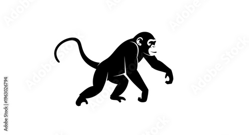 Silhouette of a Monkey in Motion.