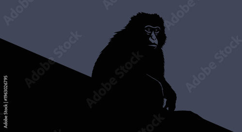Silhouette of a monkey perched on a ledge at dusk.