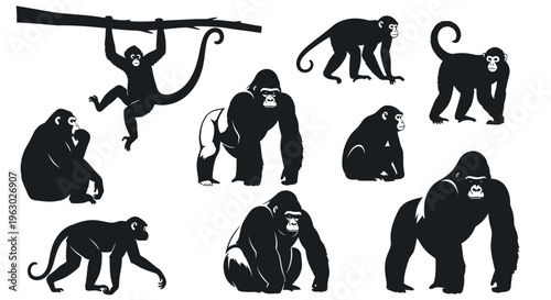 Collection of Diverse Monkey and Gorilla Silhouettes in Various Poses.