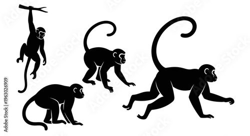Set of Black Silhouettes of Monkeys in Various Poses.