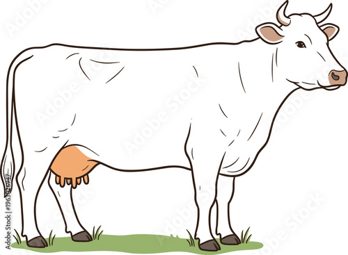 Realistic Dairy Cow Vector Illustration Featuring Side View of White Holstein Cattle Standing on Green Grass for Agricultural Farming DesignV
