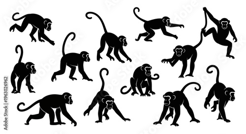 Collection of Diverse Monkey Silhouettes in Various Poses.