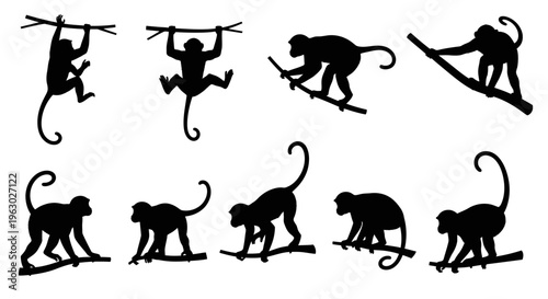 Collection of Monkey Silhouettes in Various Poses.