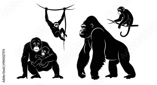 Collection of Primate Silhouettes Including Gorillas and Monkeys.