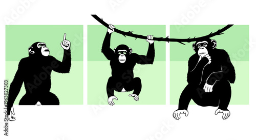 Three Chimpanzees in Different Poses Illustrating Thought.