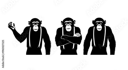 Three chimpanzees wearing suspenders in different poses.