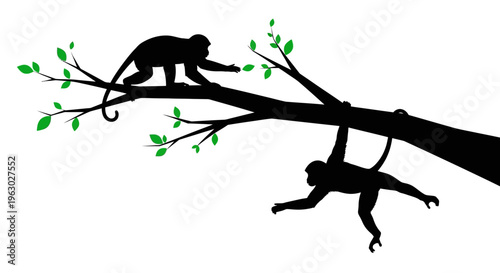 Silhouette of two monkeys swinging on a tree branch.