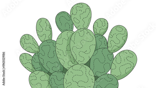 Stylized illustration of a prickly pear cactus with multiple overlapping green pads and dashed line textures on a clean white background.