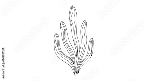 Artistic line drawing of a stylized seaweed sprig or wavy leaf with intricate internal line details on a clean white background.