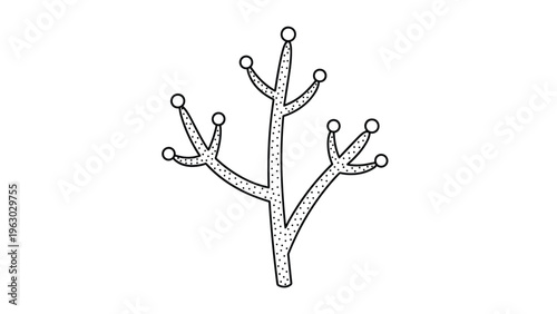 Minimalist line art illustration of a branching plant or sea coral structure featuring small circular buds at the ends of its limbs.