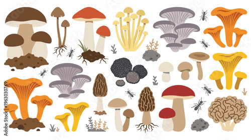 Assortment of wild mushrooms and ants in earthy forest setting.