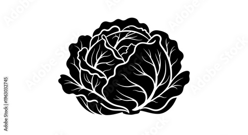 Black and White Cabbage Illustration Simple Vegetable Icon.