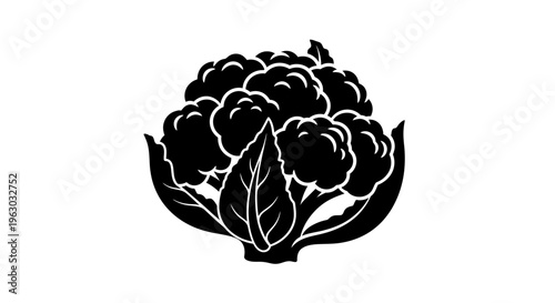 Black and White Cauliflower Vegetable Illustration.